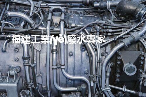 “福建工業(yè)廢水專家提供高效處理方案，解決廢水難題”